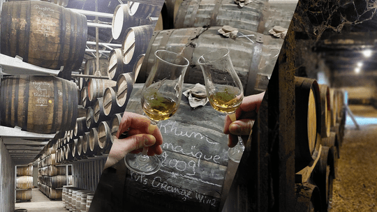 Report z pivníc Plantation: ochutnali sme rum priamo zo sudu!