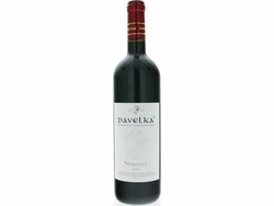Pavelka Neronet 2016