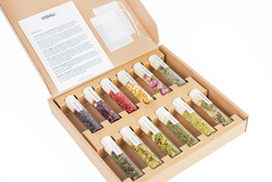 Gin Botanical Set