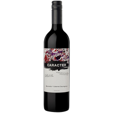 Santa Ana Caracter Bonarda - Cabernet Sauvignon, 2018
