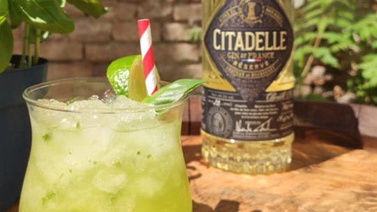 Koktejl The Basil Smash – Nezabudnuteľný zelený drink