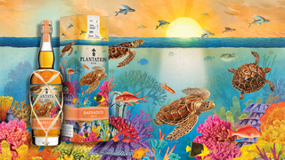 Zberateľská fľaša z rodiska rumu: Plantation Barbados 2013