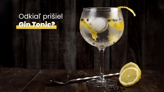 Gin tonic: Viete, odkiaľ prišiel nekorunovaný kráľ miešaných drinkov?