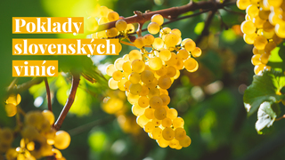 Poklady slovenských viníc: kvalitné slovenské víno na Alko90.sk
