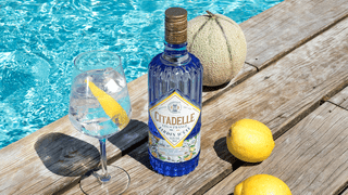 Najlepší gin? Týchto 5 by ste rozhodne nemali prehliadať