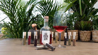 Ako si vyrobiť vlastný gin? (Návod)