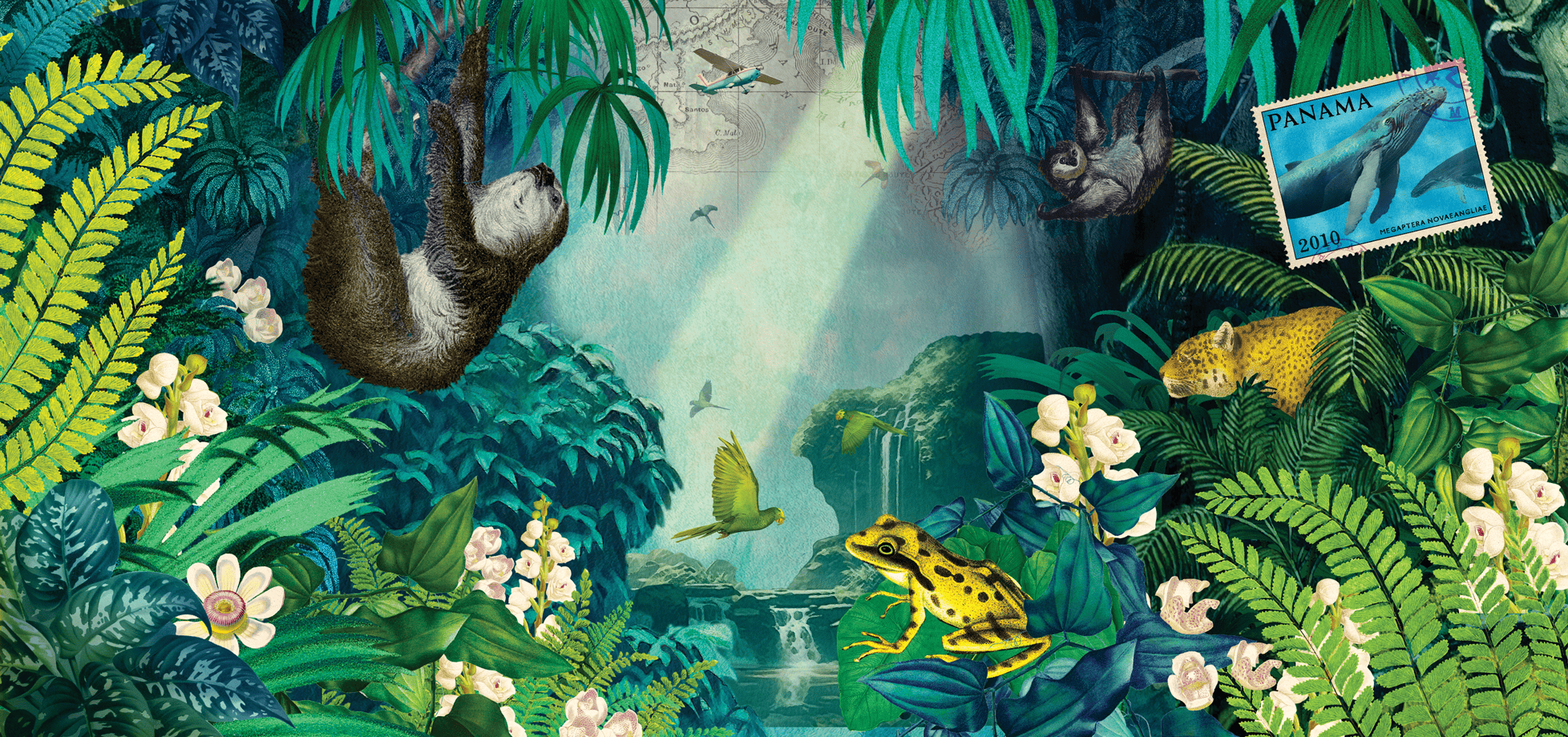 Ilustrácia Plantation Panama 2010