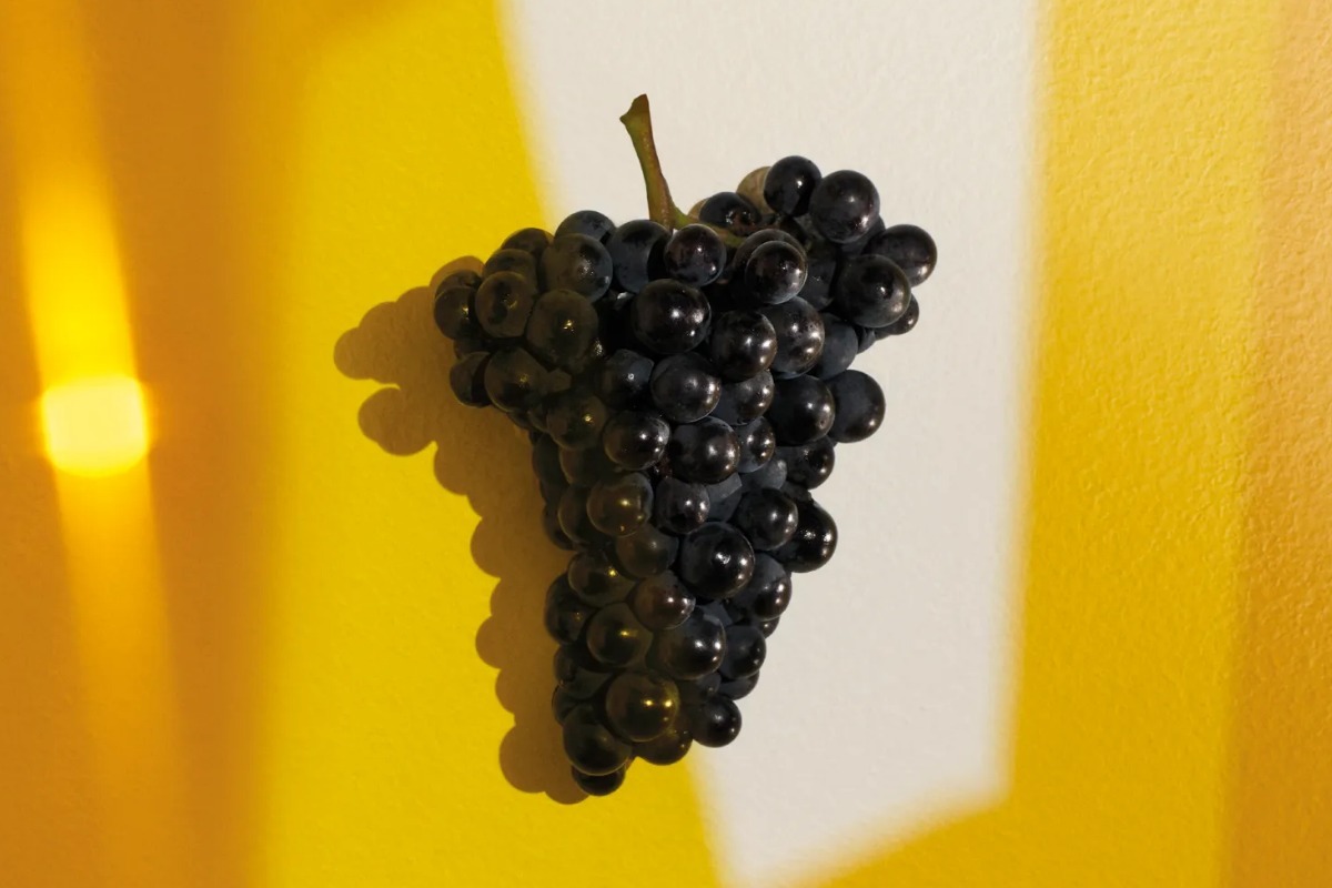 Veuve Clicquot šampanské hrozno
