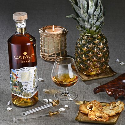 Camus Carribean Expedition, GIFT