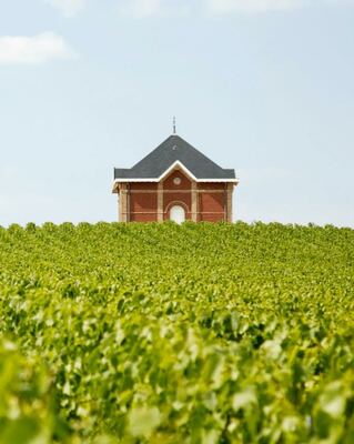 Moët &amp; Chandon Rosé Impérial 0,75 L