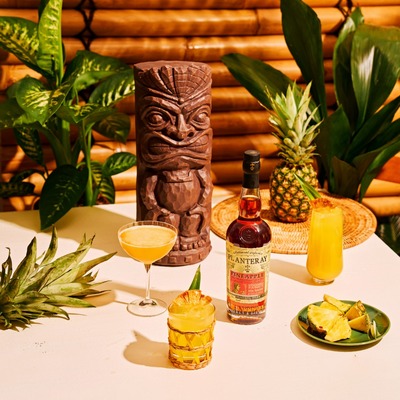 Planteray Stiggins' Fancy Pineapple