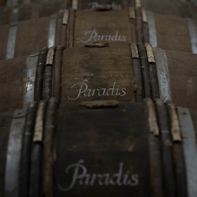 Hennessy Paradis, GIFT