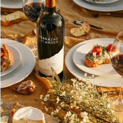 Terrazas Malbec Reserva