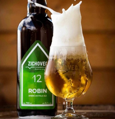 Zichovec Robin Ale
