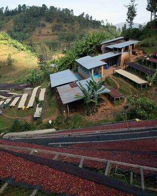 Goriffee Rwanda Gasharu Anaerobic light roast, 250g