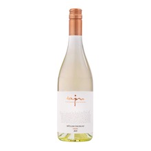 Tajna Muller Thurgau Fresh 2025