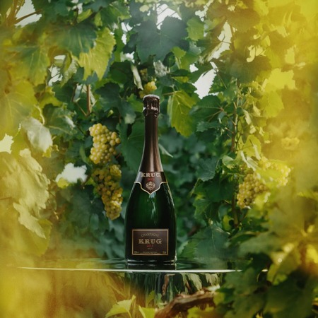 Krug Vintage 2013 0,75 L