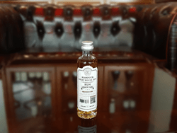 Hampden Estate Great House 2020 MINI by Dramroom