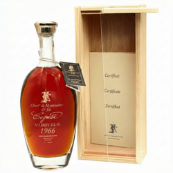 Albert De Montaubert 1966 v dreve, GIFT