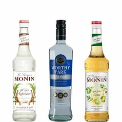 Worthy Park Silver + Monin Pure Sugar Cane + Monin Lime Juice