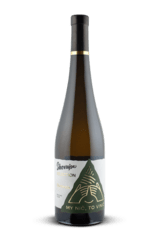 Skovajsa Chardonnay SELECTION 2021